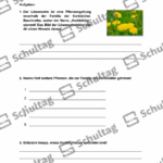 Vorschaubild von Arbeitsblatt