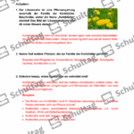 Vorschaubild von Arbeitsblatt