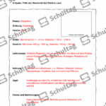 Vorschaubild von Arbeitsblatt