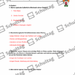 Vorschaubild von Arbeitsblatt