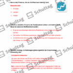 Vorschaubild von Arbeitsblatt