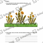 Vorschaubild von Arbeitsblatt