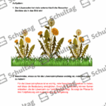 Vorschaubild von Arbeitsblatt