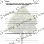 Vorschaubild von Arbeitsblatt