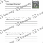 Vorschaubild von Arbeitsblatt