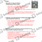 Vorschaubild von Arbeitsblatt