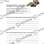 Vorschaubild von Arbeitsblatt