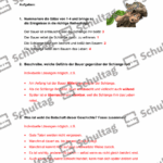 Vorschaubild von Arbeitsblatt