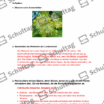 Vorschaubild von Arbeitsblatt