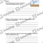 Vorschaubild von Arbeitsblatt