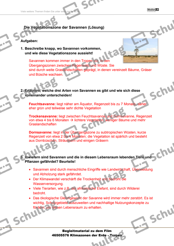 Vorschaubild von Arbeitsblatt