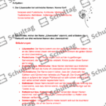 Vorschaubild von Arbeitsblatt