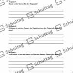 Vorschaubild von Arbeitsblatt