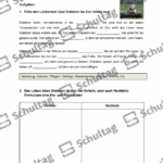 Vorschaubild von Arbeitsblatt