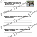 Vorschaubild von Arbeitsblatt