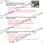 Vorschaubild von Arbeitsblatt