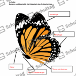 Vorschaubild von Arbeitsblatt