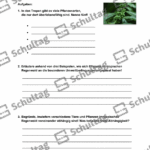 Vorschaubild von Arbeitsblatt