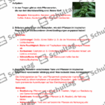 Vorschaubild von Arbeitsblatt