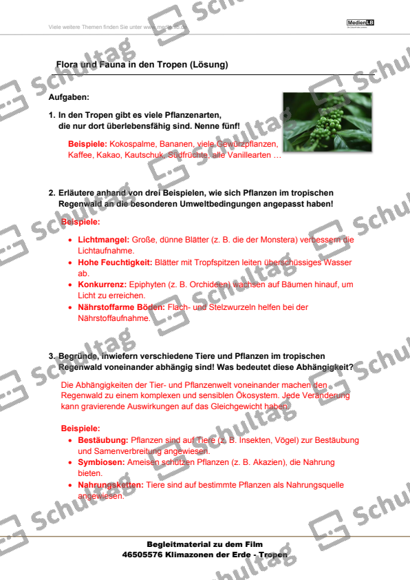 Vorschaubild von Arbeitsblatt