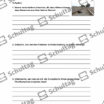 Vorschaubild von Arbeitsblatt