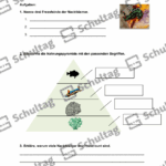 Vorschaubild von Arbeitsblatt