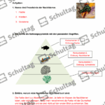 Vorschaubild von Arbeitsblatt