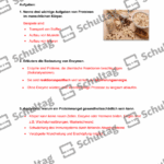 Vorschaubild von Arbeitsblatt