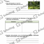 Vorschaubild von Arbeitsblatt