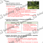 Vorschaubild von Arbeitsblatt