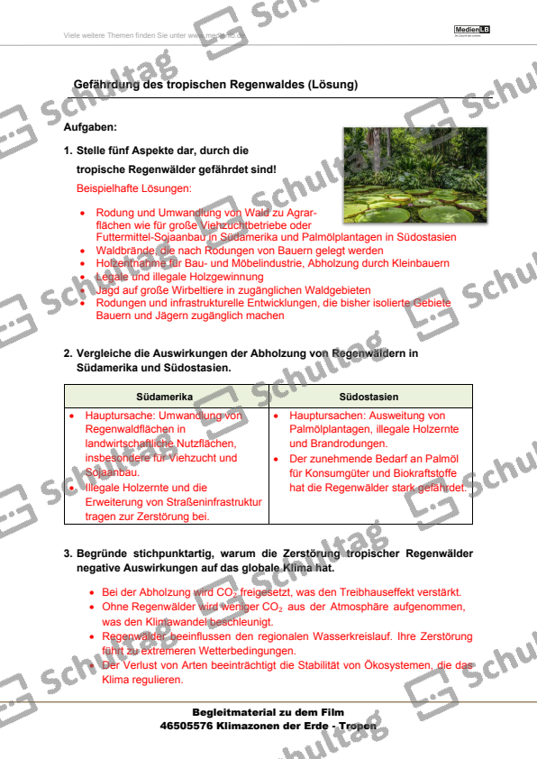 Vorschaubild von Arbeitsblatt