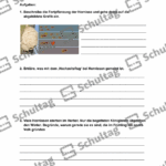 Vorschaubild von Arbeitsblatt