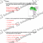 Vorschaubild von Arbeitsblatt