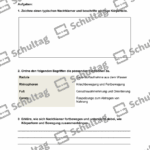 Vorschaubild von Arbeitsblatt