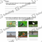 Vorschaubild von Arbeitsblatt
