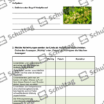 Vorschaubild von Arbeitsblatt