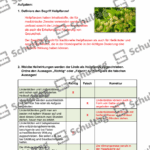 Vorschaubild von Arbeitsblatt