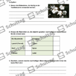 Vorschaubild von Arbeitsblatt