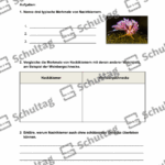 Vorschaubild von Arbeitsblatt