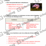 Vorschaubild von Arbeitsblatt