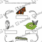 Vorschaubild von Arbeitsblatt