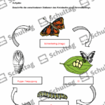 Vorschaubild von Arbeitsblatt