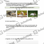 Vorschaubild von Arbeitsblatt