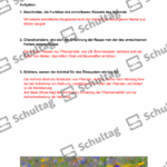 Vorschaubild von Arbeitsblatt