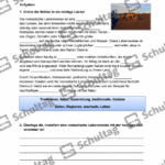 Vorschaubild von Arbeitsblatt