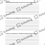 Vorschaubild von Arbeitsblatt