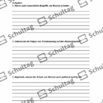 Vorschaubild von Arbeitsblatt