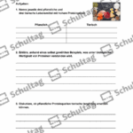 Vorschaubild von Arbeitsblatt