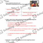 Vorschaubild von Arbeitsblatt