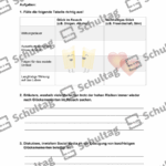 Vorschaubild von Arbeitsblatt